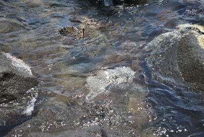 Full frame shot of water