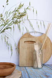 Close-up of potted plant on table