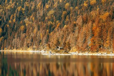 Autumn trees on mountain by calm lake with reflection