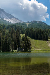 Scenic view of lake by trees against sky