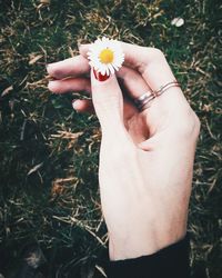 Close-up of woman hand holding white flower on field