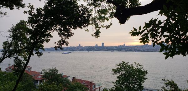 Silhouette of trees and buildings against sky during sunset