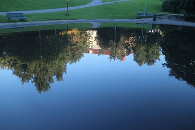 Reflection of trees in river