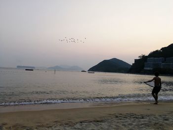 Silhouette of birds flying over beach against clear sky
