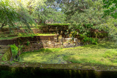 Scenic view of lake