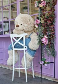 View of stuffed toy at home