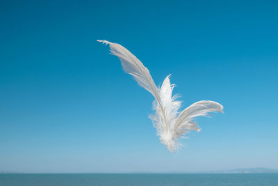 White bird flying over sea against blue sky