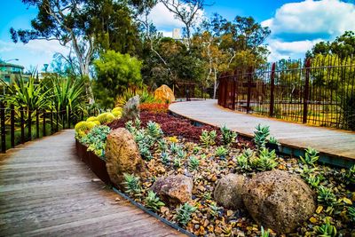 Walkway amidst plants against sky