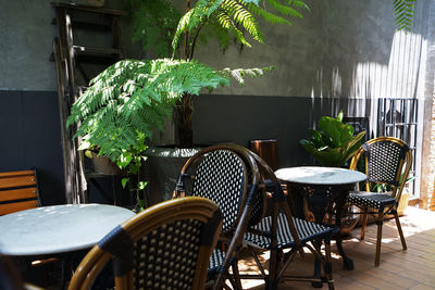 Empty chairs and tables in yard