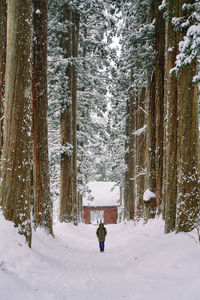 Rear view of man walking on snow