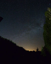 Low angle view of silhouette trees against sky at night