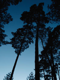 Low angle view of silhouette trees against clear sky