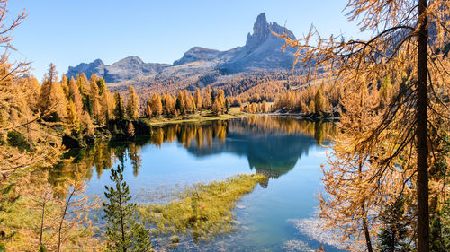 Scenic view of lake and trees against sky