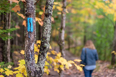 Rear view of woman on tree trunk in forest