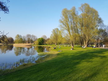 Scenic view of lake by trees against clear sky