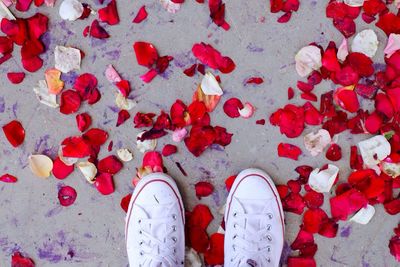 Low view of person standing on red rose petals