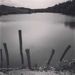 Reflection of trees in lake