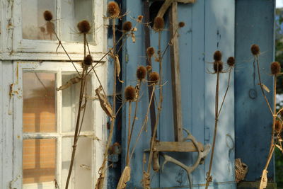 Close-up of rusty metal against wall