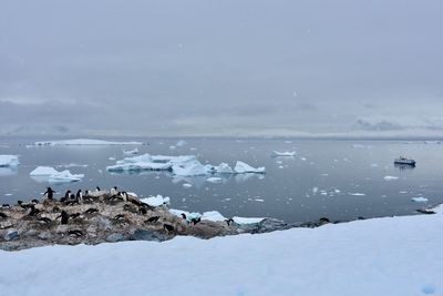 Scenic view of frozen sea against sky