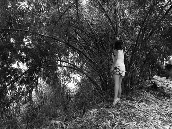 Woman standing by tree in forest