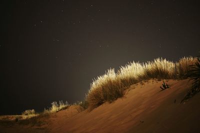 Scenic view of landscape at night