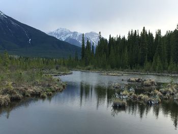 Scenic view of lake by trees against sky