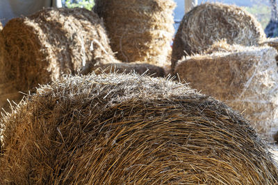 Close-up of hay bales