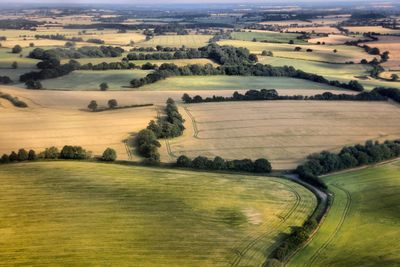 Scenic view of agricultural field