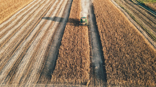 Aerial view of a combine harvester that collects wasps in the field
