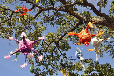 Low angle view of fruits on tree against sky