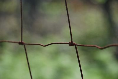 Close-up of barbed wire fence