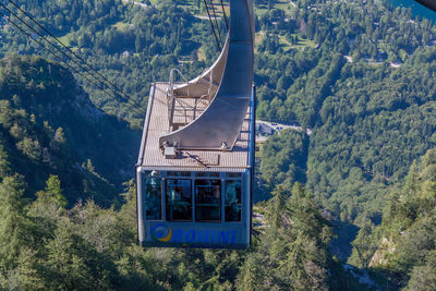 Overhead cable car in forest