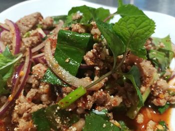 Close-up of salad