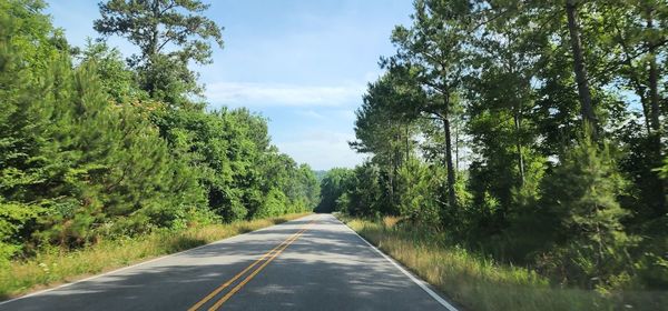 Empty road amidst trees against sky