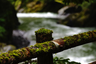 Close-up of old rusty pipe