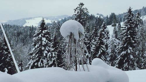 Snow covered landscape