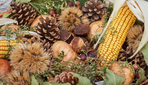 High angle view of fruits in market