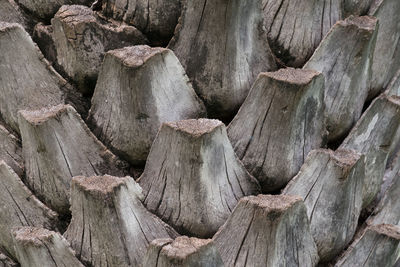 Full frame shot of wood