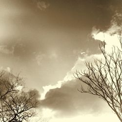 Low angle view of bare tree against cloudy sky