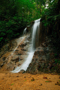 Scenic view of waterfall in forest