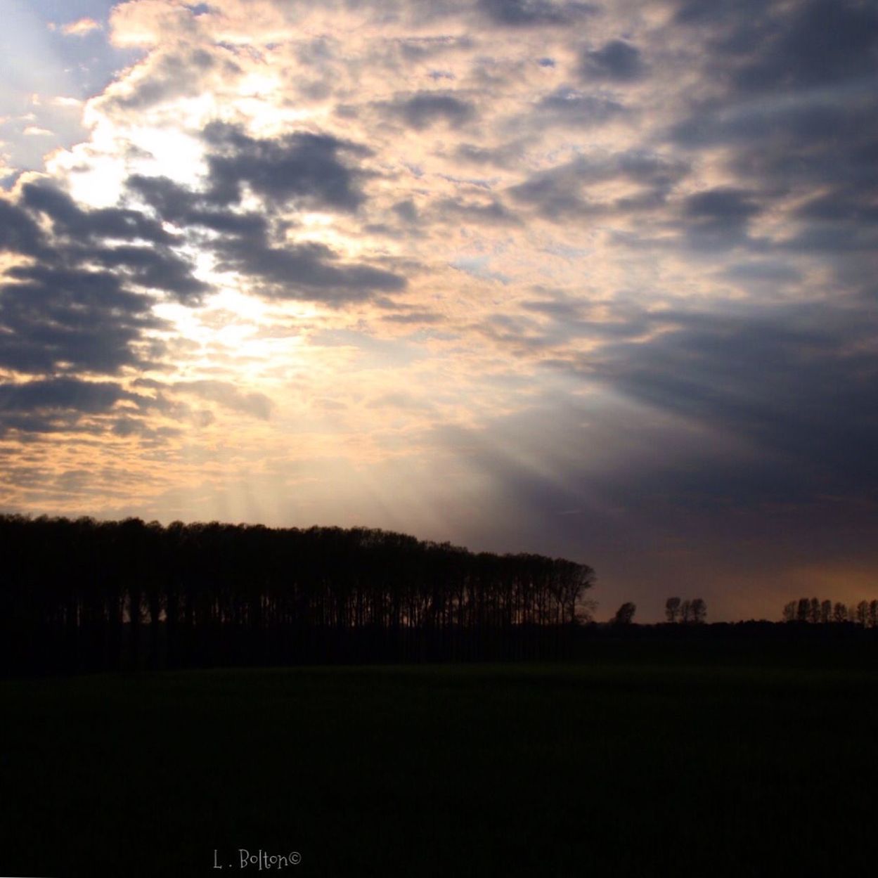 nature, tree, sky, sunset, beauty in nature, silhouette, scenics, tranquility, tranquil scene, no people, cloud - sky, outdoors, growth, field, landscape, grass, water, day