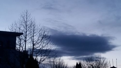 Low angle view of silhouette trees against sky