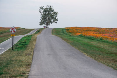 Road amidst field against sky