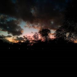 Silhouette of trees against cloudy sky