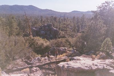 Scenic view of mountains