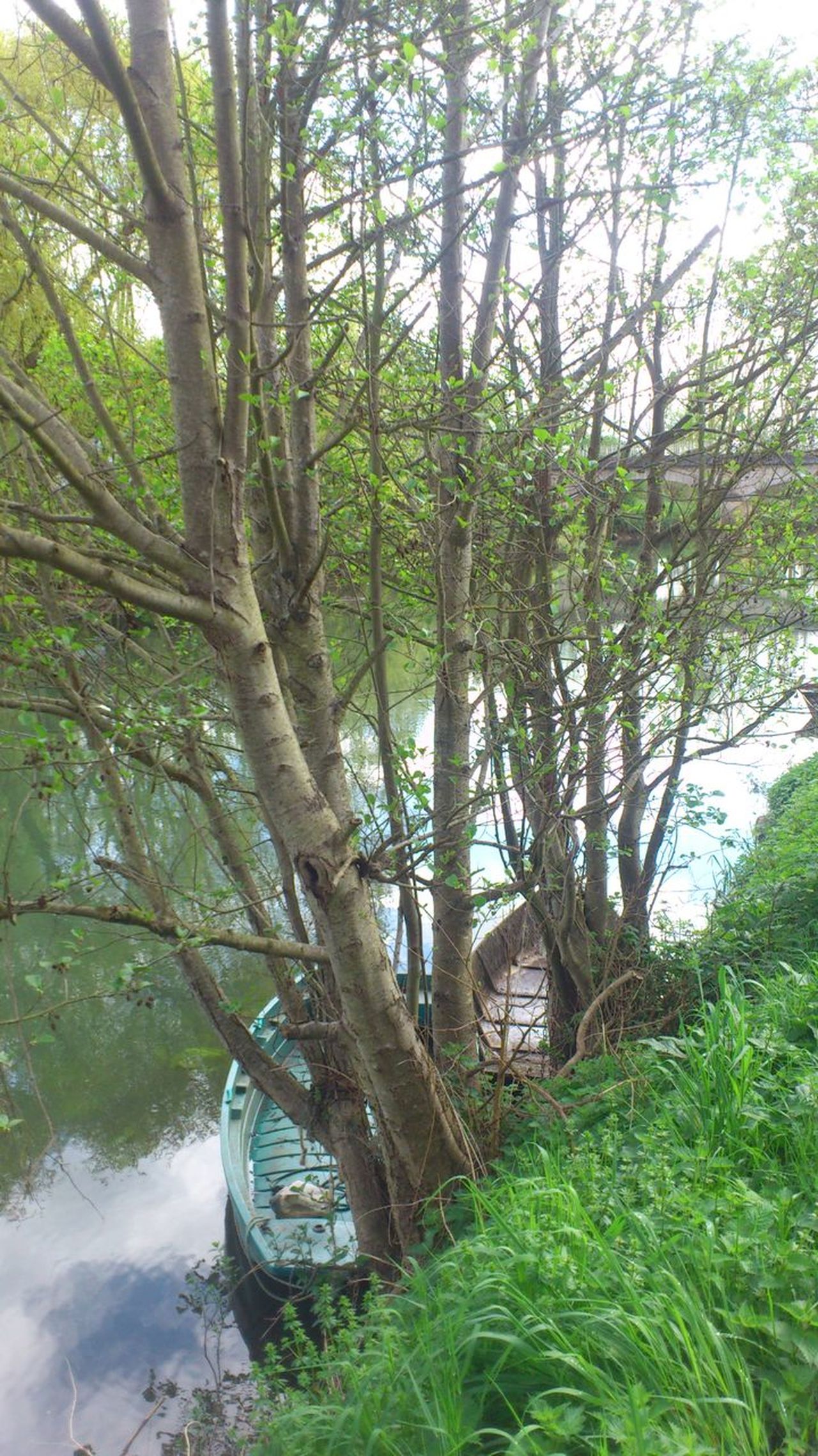 Marais poitevin magné