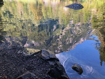 High angle view of ducks swimming in lake