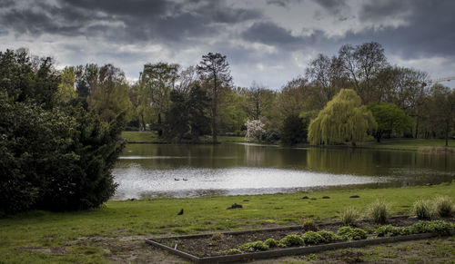 Scenic view of lake by trees against sky