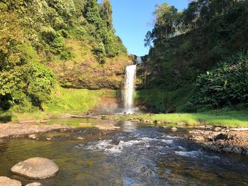 Scenic view of waterfall in forest