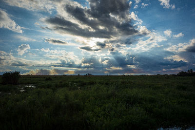Scenic view of land against sky